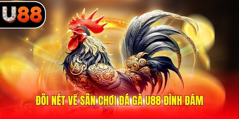 Đôi nét về sân chơi đá gà U88 đình đám